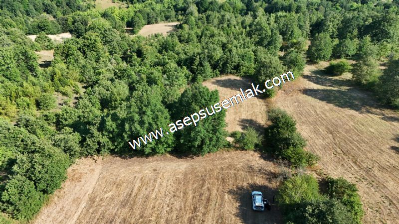 10.800 m2 Ormana Cepheli Tarla, Bağ-Bahçe, Hobi Bahçesi Fındıklı