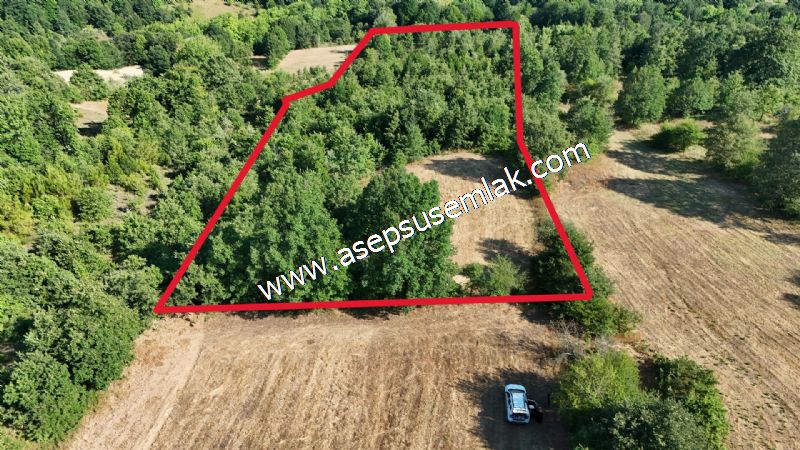 10.800 m2 Ormana Cepheli Tarla, Bağ-Bahçe, Hobi Bahçesi Fındıklı