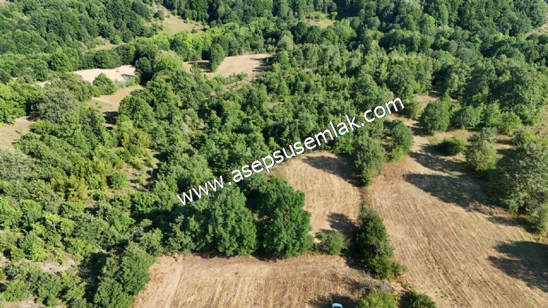 10.800 m2 Ormana Cepheli Tarla, Bağ-Bahçe, Hobi Bahçesi Fındıklı