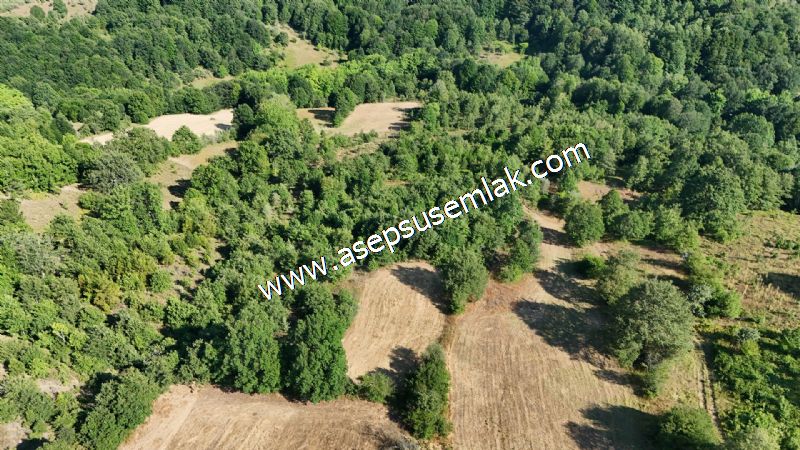 10.800 m2 Ormana Cepheli Tarla, Bağ-Bahçe, Hobi Bahçesi Fındıklı