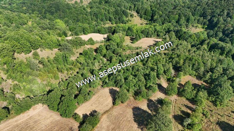 10.800 m2 Ormana Cepheli Tarla, Bağ-Bahçe, Hobi Bahçesi Fındıklı