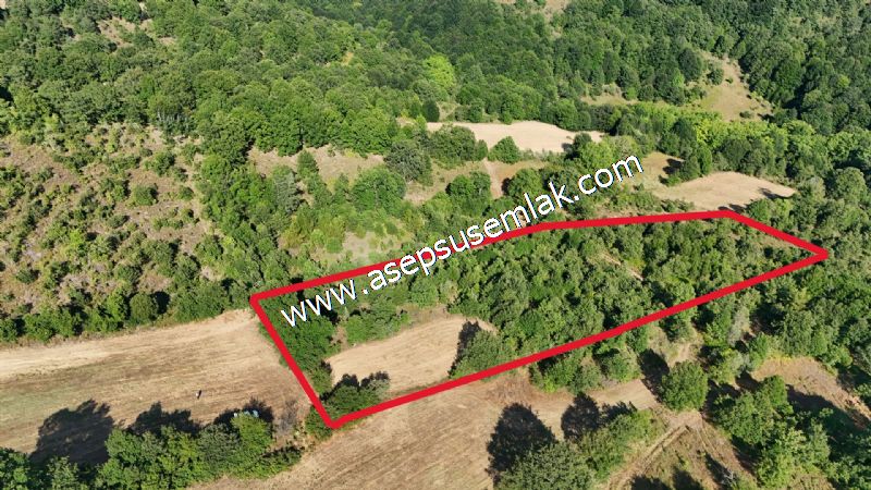 10.800 m2 Ormana Cepheli Tarla, Bağ-Bahçe, Hobi Bahçesi Fındıklı