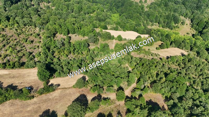 10.800 m2 Ormana Cepheli Tarla, Bağ-Bahçe, Hobi Bahçesi Fındıklı