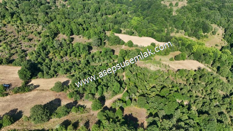 10.800 m2 Ormana Cepheli Tarla, Bağ-Bahçe, Hobi Bahçesi Fındıklı