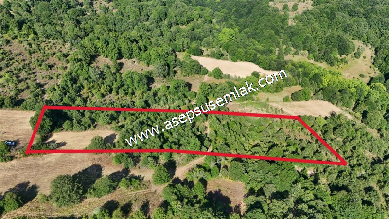 10.800 m2 Ormana Cepheli Tarla, Bağ-Bahçe, Hobi Bahçesi Fındıklı