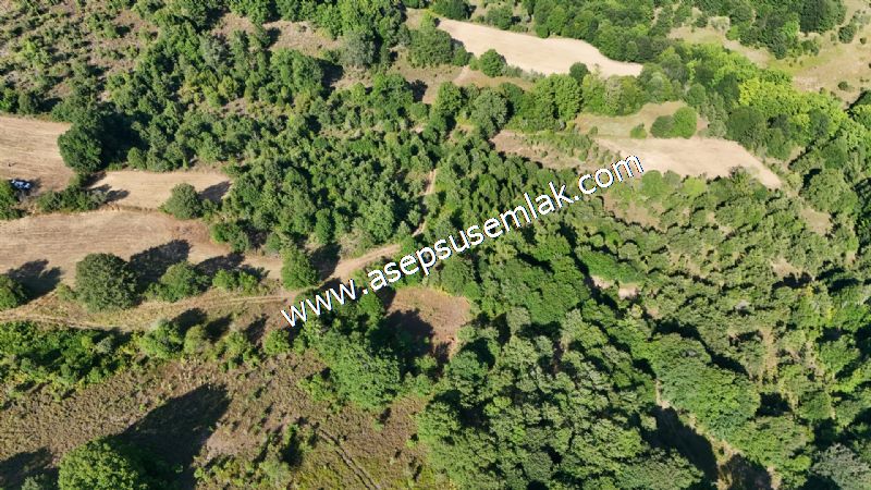 10.800 m2 Ormana Cepheli Tarla, Bağ-Bahçe, Hobi Bahçesi Fındıklı