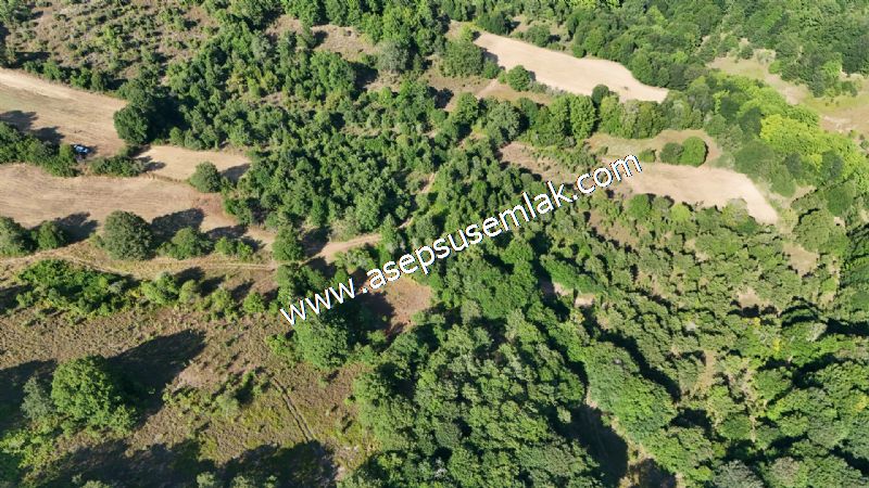 10.800 m2 Ormana Cepheli Tarla, Bağ-Bahçe, Hobi Bahçesi Fındıklı