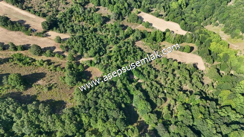 10.800 m2 Ormana Cepheli Tarla, Bağ-Bahçe, Hobi Bahçesi Fındıklı