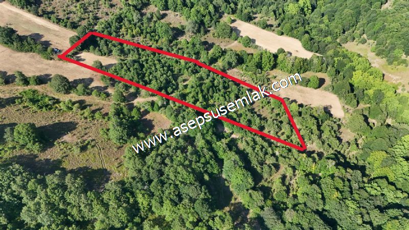 10.800 m2 Ormana Cepheli Tarla, Bağ-Bahçe, Hobi Bahçesi Fındıklı