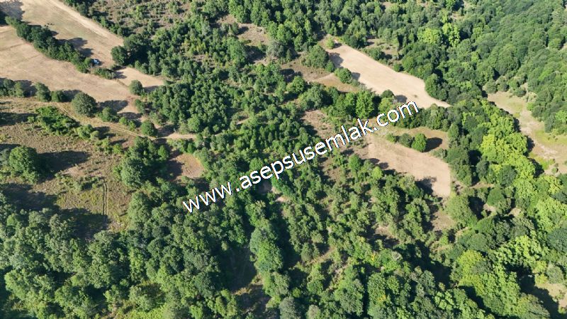 10.800 m2 Ormana Cepheli Tarla, Bağ-Bahçe, Hobi Bahçesi Fındıklı