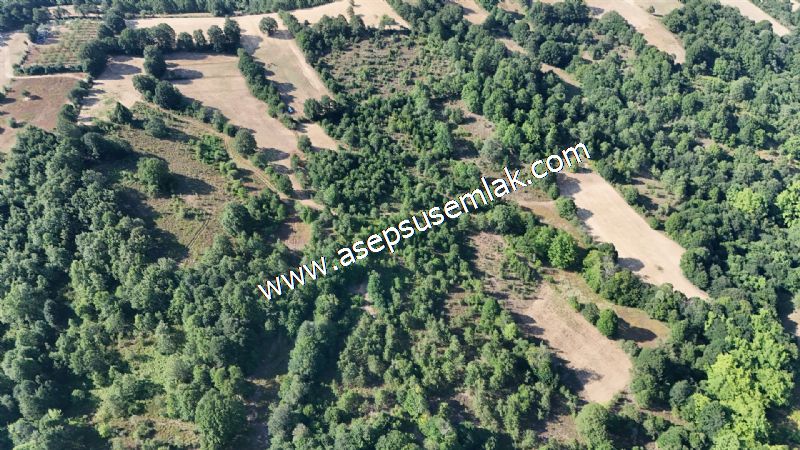 10.800 m2 Ormana Cepheli Tarla, Bağ-Bahçe, Hobi Bahçesi Fındıklı