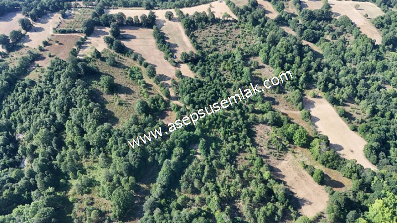 10.800 m2 Ormana Cepheli Tarla, Bağ-Bahçe, Hobi Bahçesi Fındıklı
