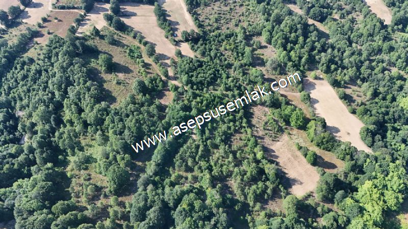 10.800 m2 Ormana Cepheli Tarla, Bağ-Bahçe, Hobi Bahçesi Fındıklı