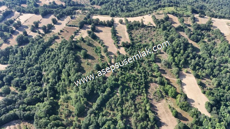 10.800 m2 Ormana Cepheli Tarla, Bağ-Bahçe, Hobi Bahçesi Fındıklı