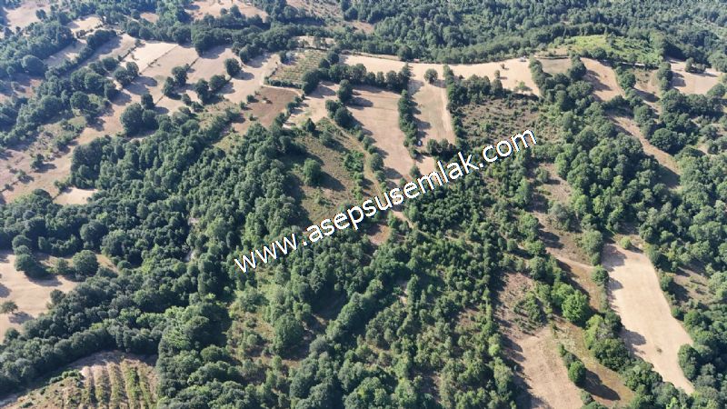 10.800 m2 Ormana Cepheli Tarla, Bağ-Bahçe, Hobi Bahçesi Fındıklı