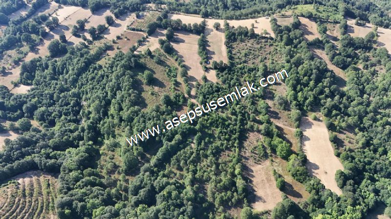 10.800 m2 Ormana Cepheli Tarla, Bağ-Bahçe, Hobi Bahçesi Fındıklı