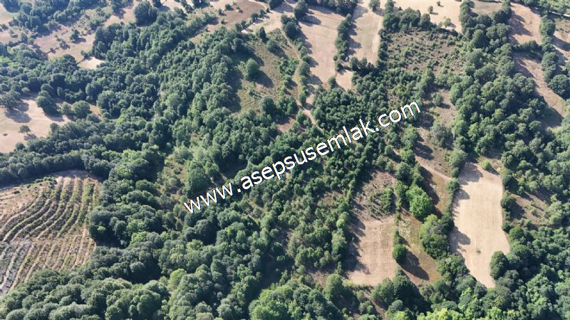 10.800 m2 Ormana Cepheli Tarla, Bağ-Bahçe, Hobi Bahçesi Fındıklı