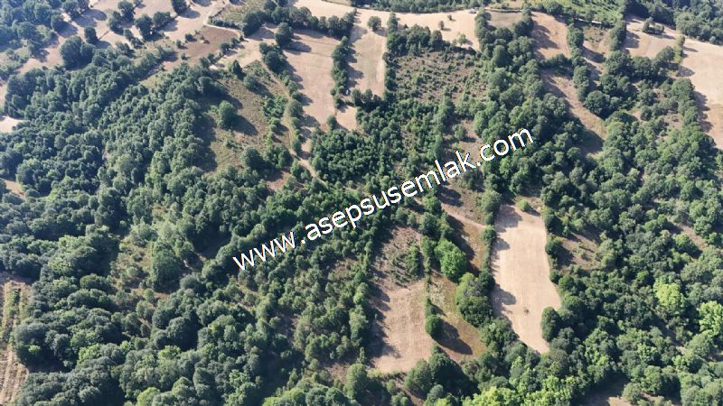 10.800 m2 Ormana Cepheli Tarla, Bağ-Bahçe, Hobi Bahçesi Fındıklı