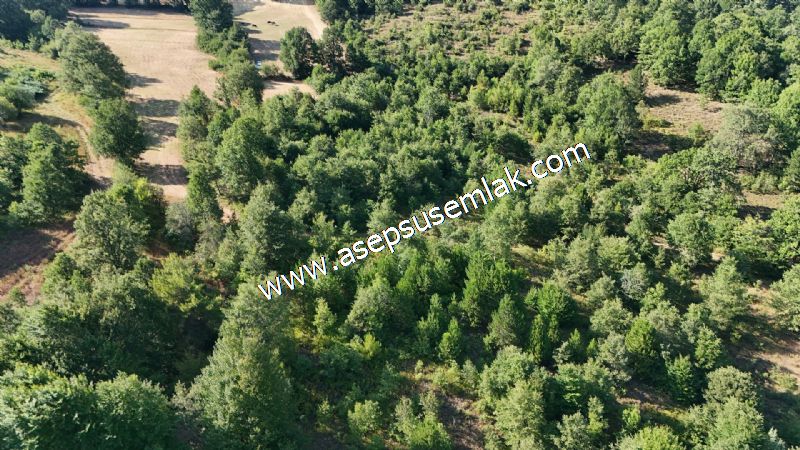 10.800 m2 Ormana Cepheli Tarla, Bağ-Bahçe, Hobi Bahçesi Fındıklı