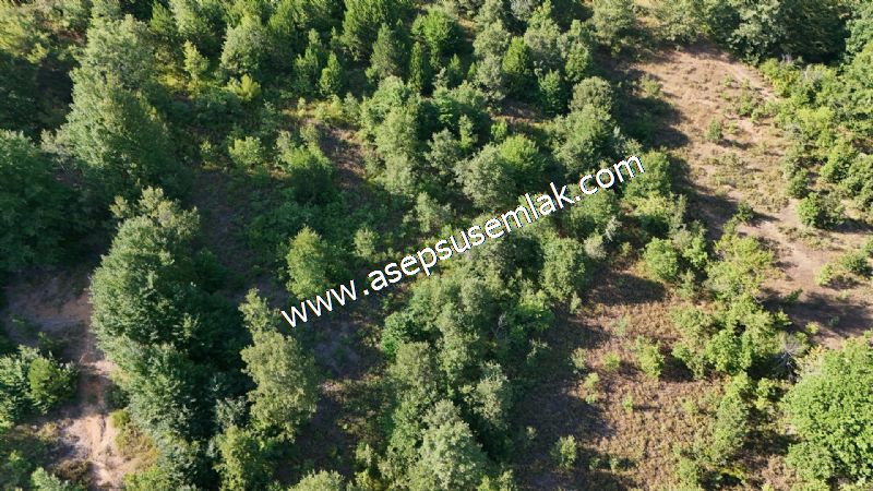 10.800 m2 Ormana Cepheli Tarla, Bağ-Bahçe, Hobi Bahçesi Fındıklı