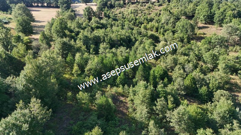 10.800 m2 Ormana Cepheli Tarla, Bağ-Bahçe, Hobi Bahçesi Fındıklı
