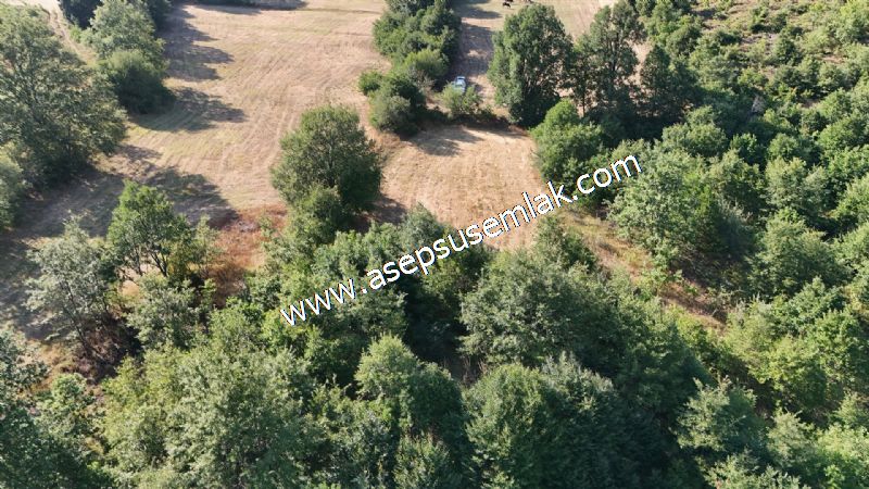 10.800 m2 Ormana Cepheli Tarla, Bağ-Bahçe, Hobi Bahçesi Fındıklı