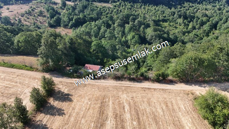 10.800 m2 Ormana Cepheli Tarla, Bağ-Bahçe, Hobi Bahçesi Fındıklı