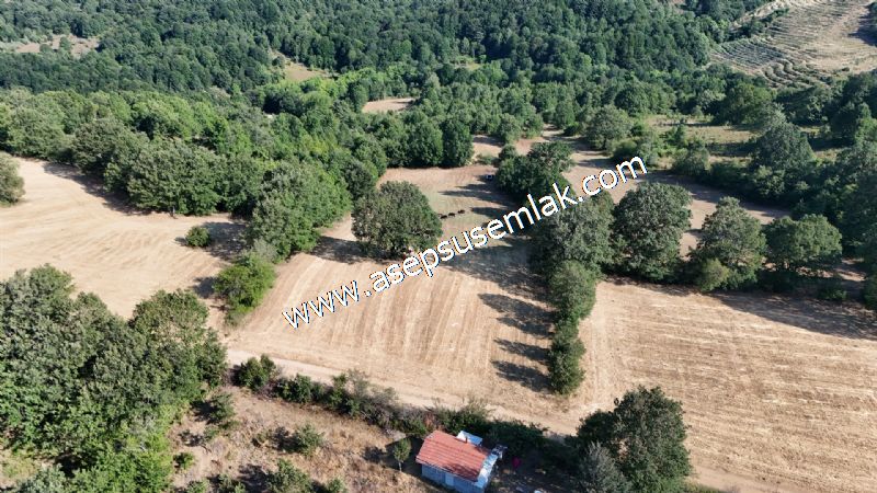 10.800 m2 Ormana Cepheli Tarla, Bağ-Bahçe, Hobi Bahçesi Fındıklı