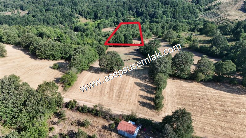 10.800 m2 Ormana Cepheli Tarla, Bağ-Bahçe, Hobi Bahçesi Fındıklı