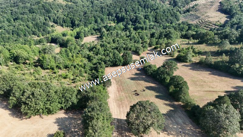 10.800 m2 Ormana Cepheli Tarla, Bağ-Bahçe, Hobi Bahçesi Fındıklı