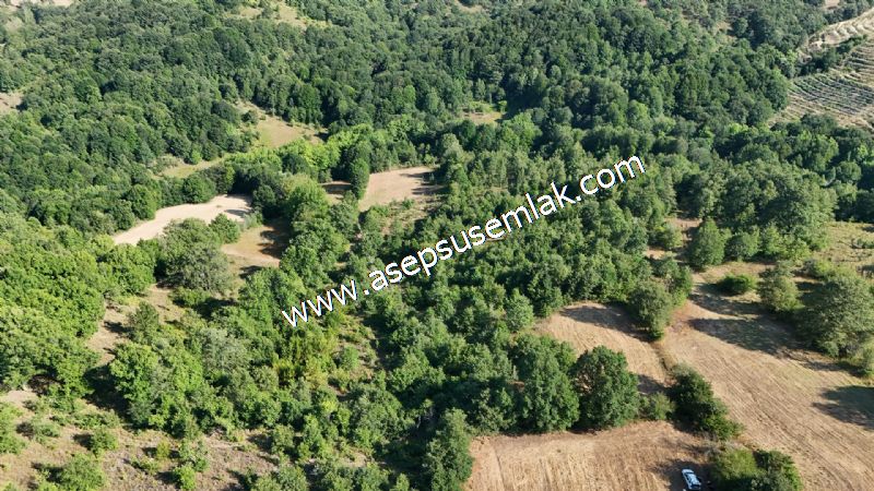10.800 m2 Ormana Cepheli Tarla, Bağ-Bahçe, Hobi Bahçesi Fındıklı
