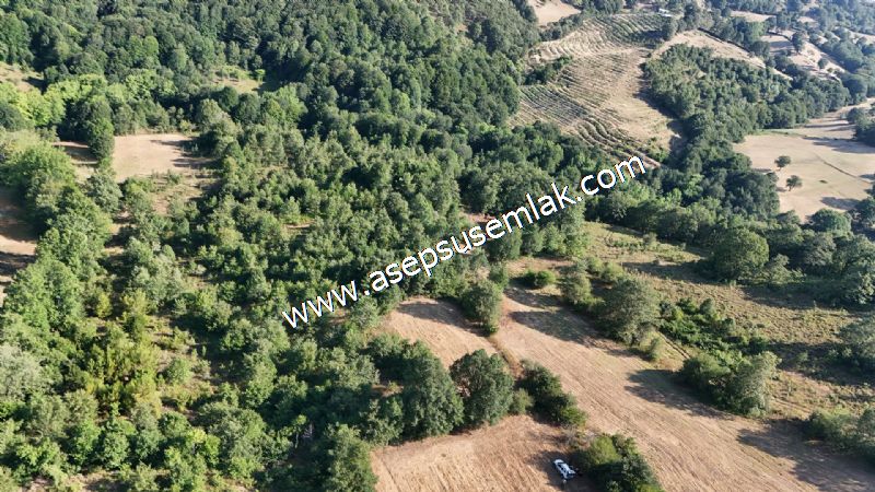 10.800 m2 Ormana Cepheli Tarla, Bağ-Bahçe, Hobi Bahçesi Fındıklı