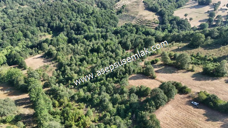 10.800 m2 Ormana Cepheli Tarla, Bağ-Bahçe, Hobi Bahçesi Fındıklı