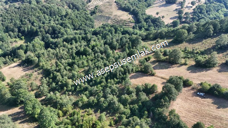 10.800 m2 Ormana Cepheli Tarla, Bağ-Bahçe, Hobi Bahçesi Fındıklı