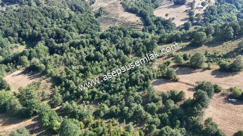 10.800 m2 Ormana Cepheli Tarla, Bağ-Bahçe, Hobi Bahçesi Fındıklı