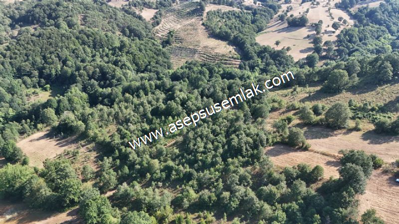 10.800 m2 Ormana Cepheli Tarla, Bağ-Bahçe, Hobi Bahçesi Fındıklı