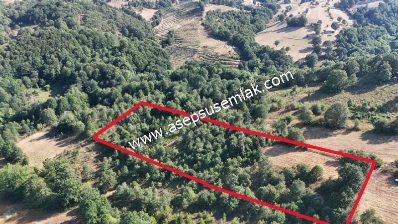 10.800 m2 Ormana Cepheli Tarla, Bağ-Bahçe, Hobi Bahçesi Fındıklı