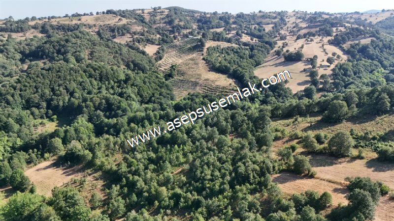 10.800 m2 Ormana Cepheli Tarla, Bağ-Bahçe, Hobi Bahçesi Fındıklı