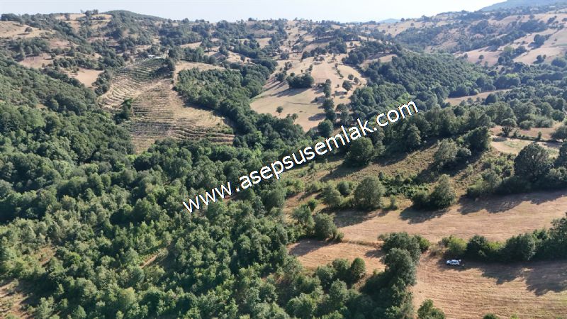 10.800 m2 Ormana Cepheli Tarla, Bağ-Bahçe, Hobi Bahçesi Fındıklı