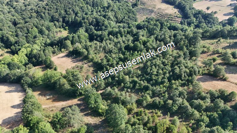 10.800 m2 Ormana Cepheli Tarla, Bağ-Bahçe, Hobi Bahçesi Fındıklı