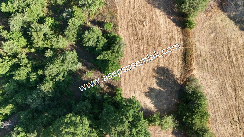 10.800 m2 Ormana Cepheli Tarla, Bağ-Bahçe, Hobi Bahçesi Fındıklı