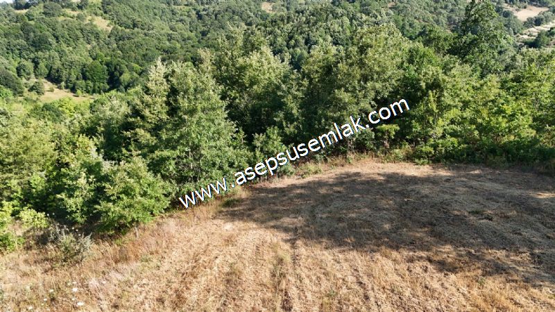 10.800 m2 Ormana Cepheli Tarla, Bağ-Bahçe, Hobi Bahçesi Fındıklı