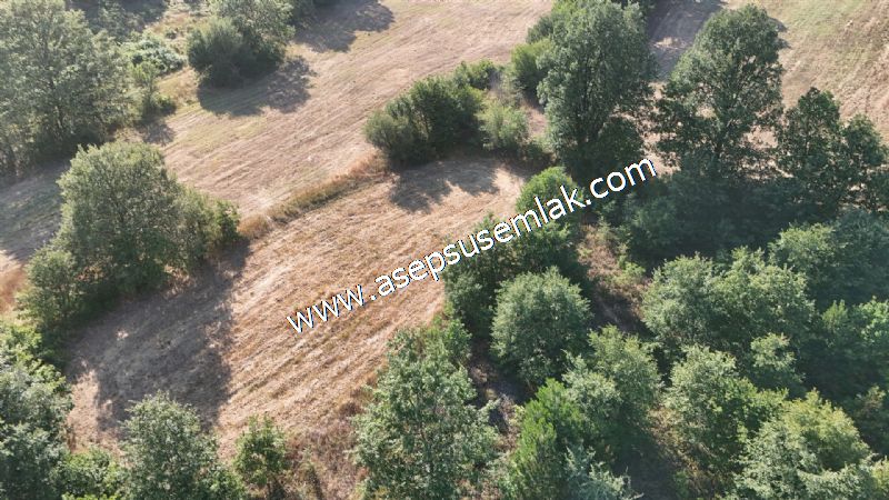 10.800 m2 Ormana Cepheli Tarla, Bağ-Bahçe, Hobi Bahçesi Fındıklı