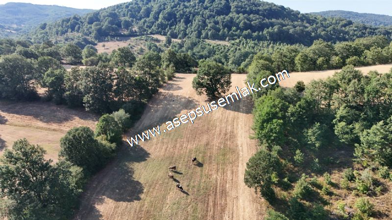 10.800 m2 Ormana Cepheli Tarla, Bağ-Bahçe, Hobi Bahçesi Fındıklı