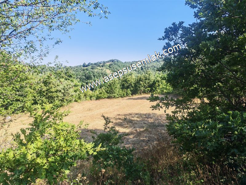 10.800 m2 Ormana Cepheli Tarla, Bağ-Bahçe, Hobi Bahçesi Fındıklı