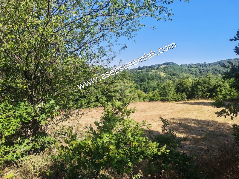 10.800 m2 Ormana Cepheli Tarla, Bağ-Bahçe, Hobi Bahçesi Fındıklı