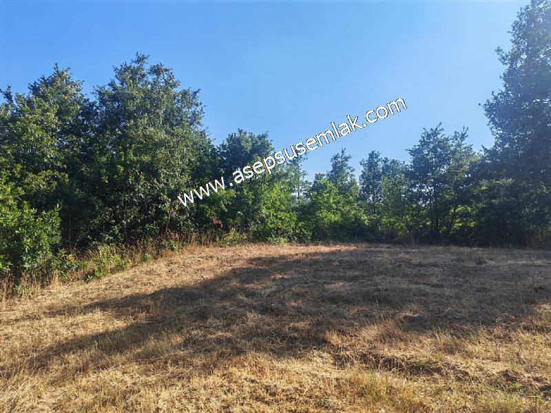 10.800 m2 Ormana Cepheli Tarla, Bağ-Bahçe, Hobi Bahçesi Fındıklı