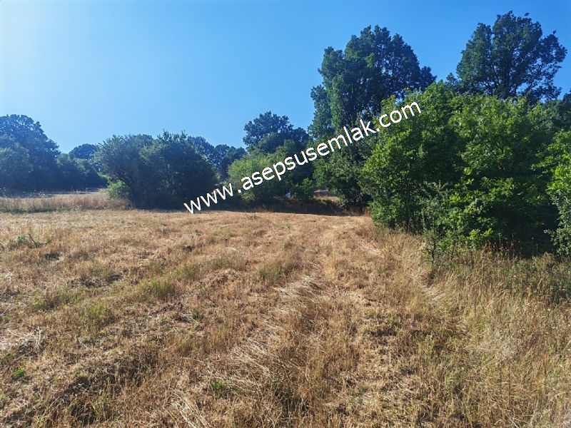 10.800 m2 Ormana Cepheli Tarla, Bağ-Bahçe, Hobi Bahçesi Fındıklı