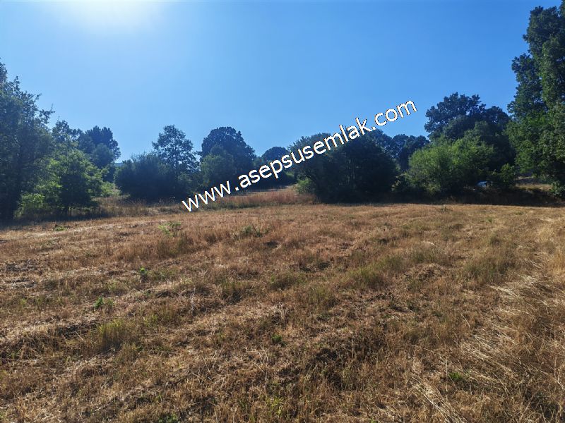 10.800 m2 Ormana Cepheli Tarla, Bağ-Bahçe, Hobi Bahçesi Fındıklı