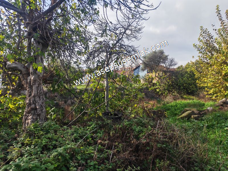 SARIKÖYDE 427 m² SATILIK MÜSTAKİL EV YAPIMINA UYGUN İMARLI ARSA